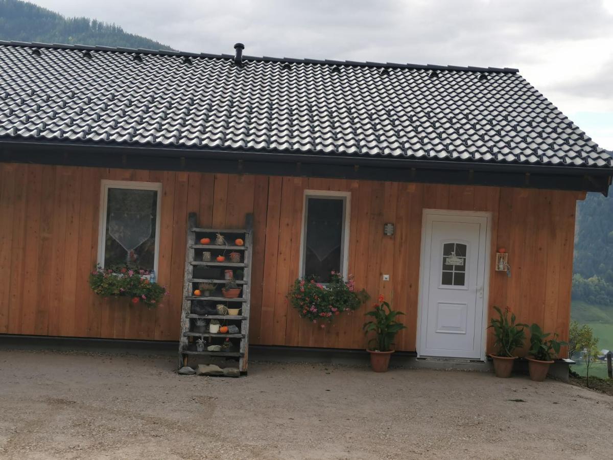 شقة Bergblick Hollnhof Donnersbach المظهر الخارجي الصورة